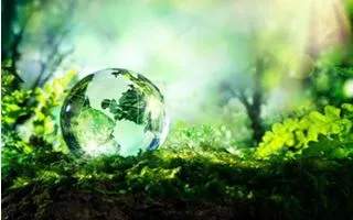 Sustainable development on L&W project sites
